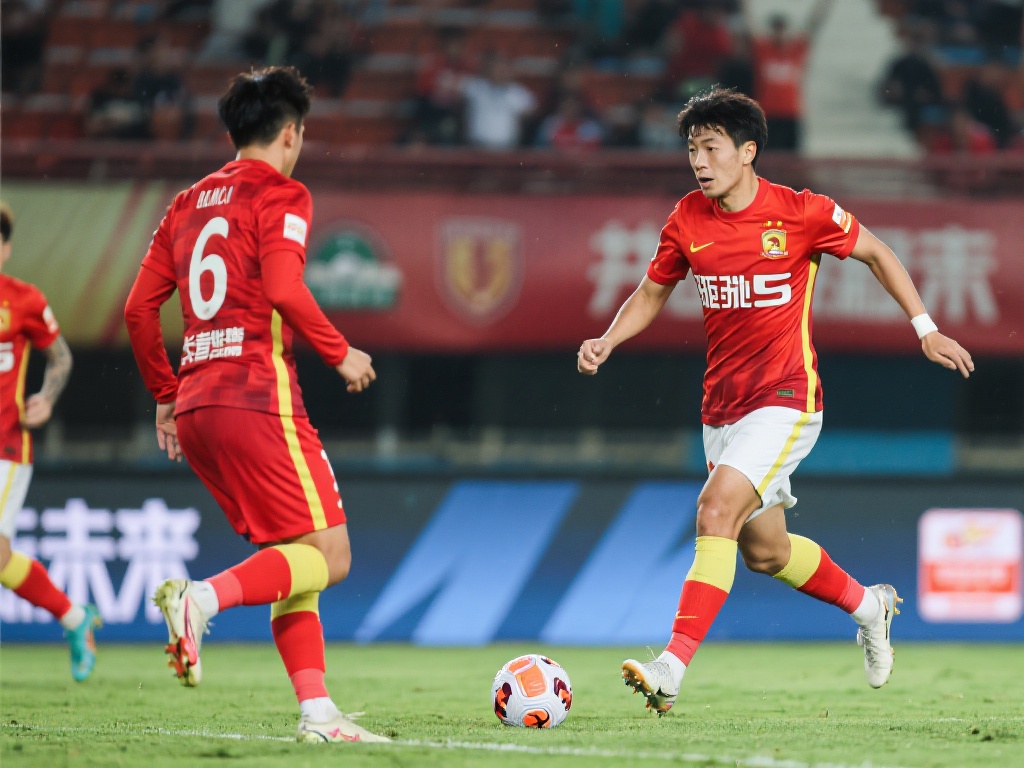 他们引进了 他们引进了